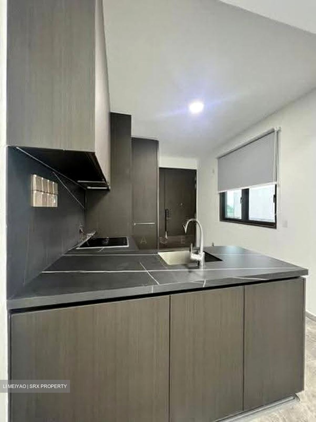 Hyll On Holland (D10), Condominium #639051091